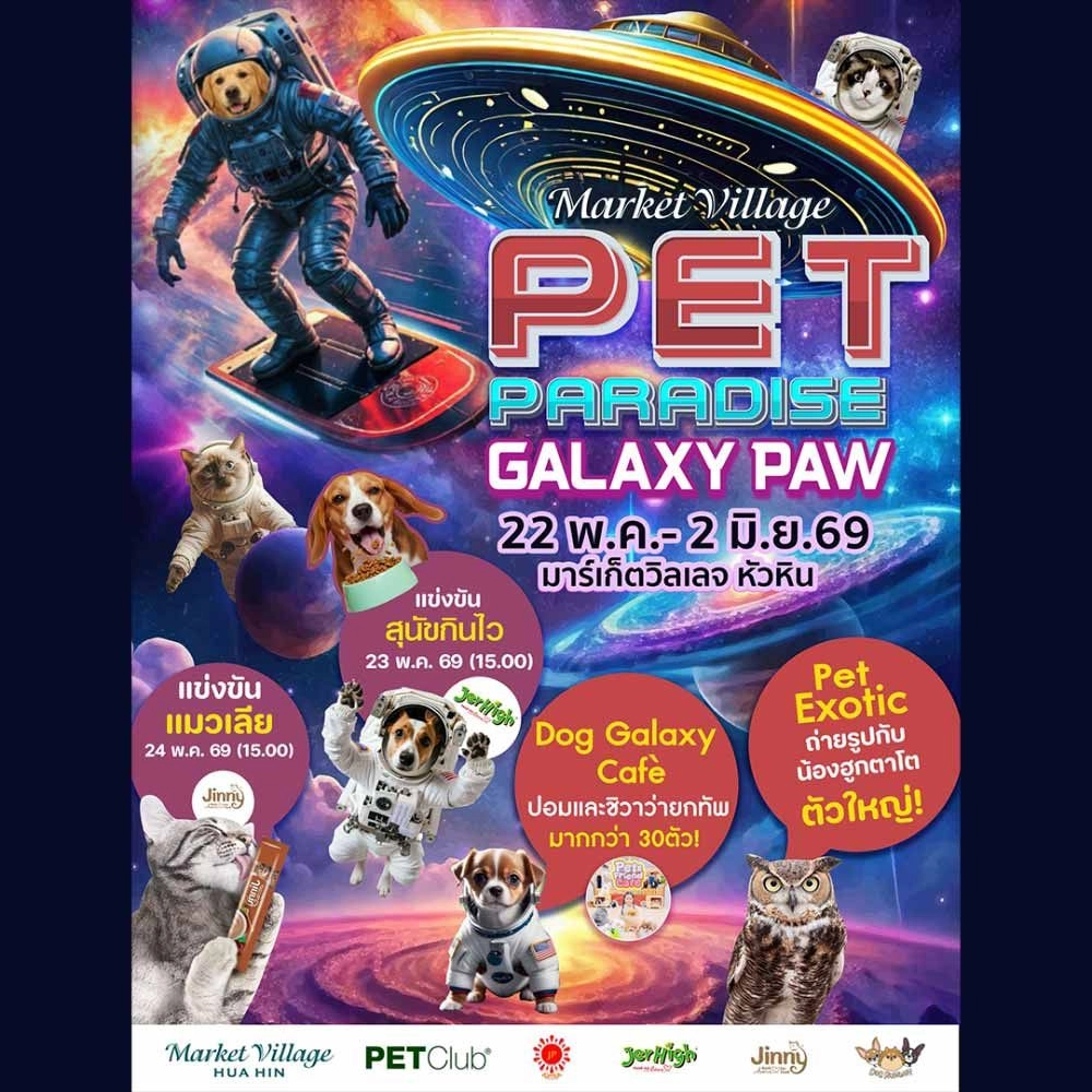 PET PARADISE : GALAXY PAW