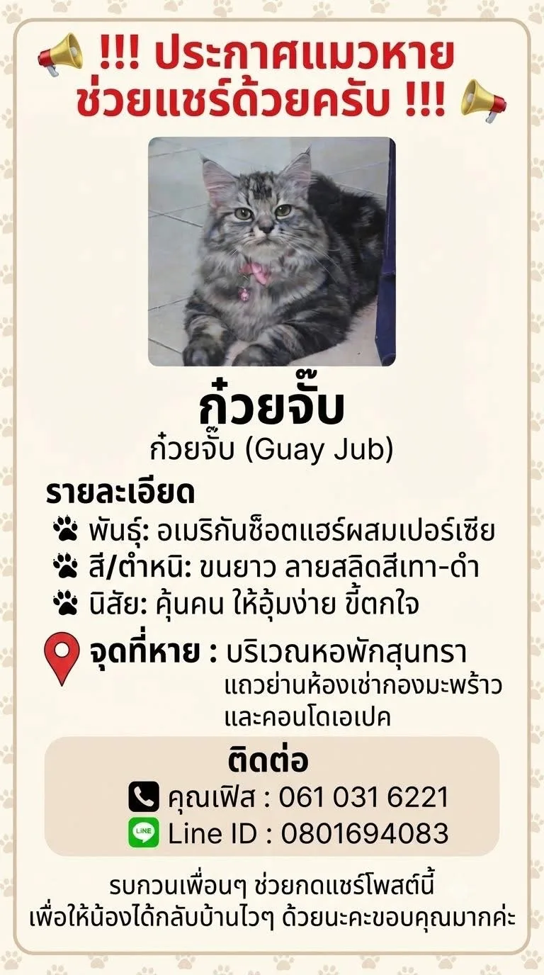 ก๋วยจั๊บ เปอร์เซีย ชลบุรี