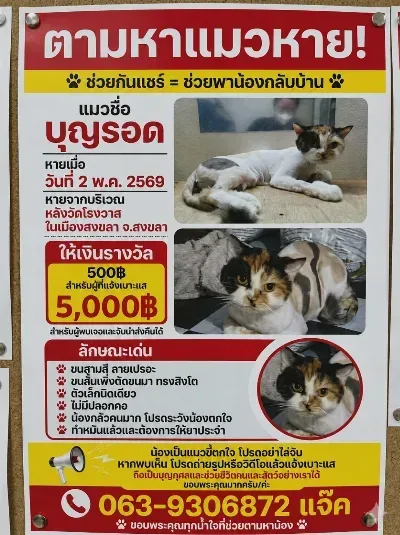 บุญรอด สงขลา 2