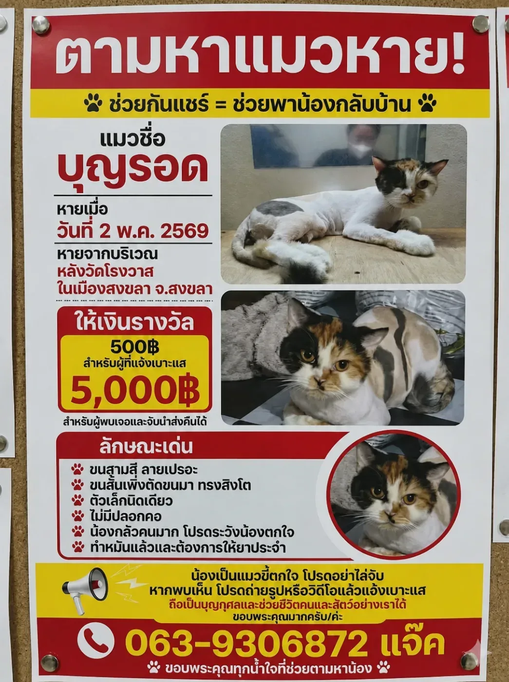 บุญรอด สงขลา 5