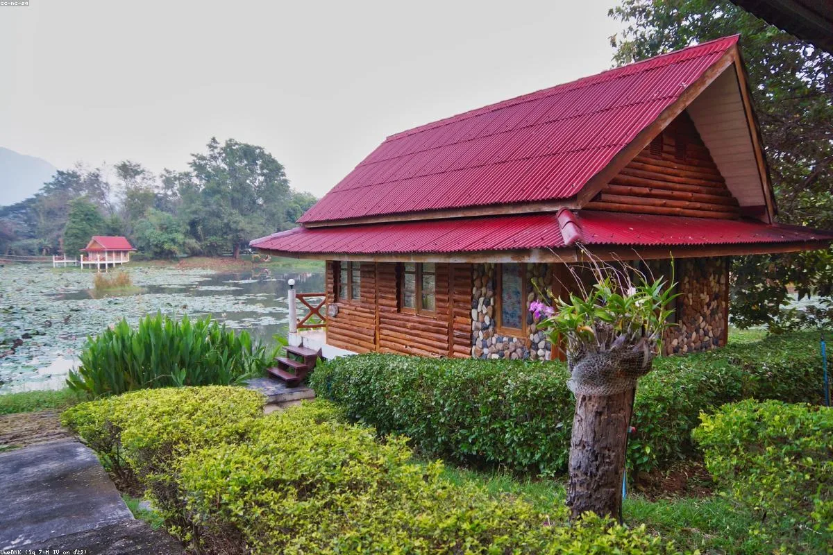 The Pet Haven เชียงใหม่ - 3