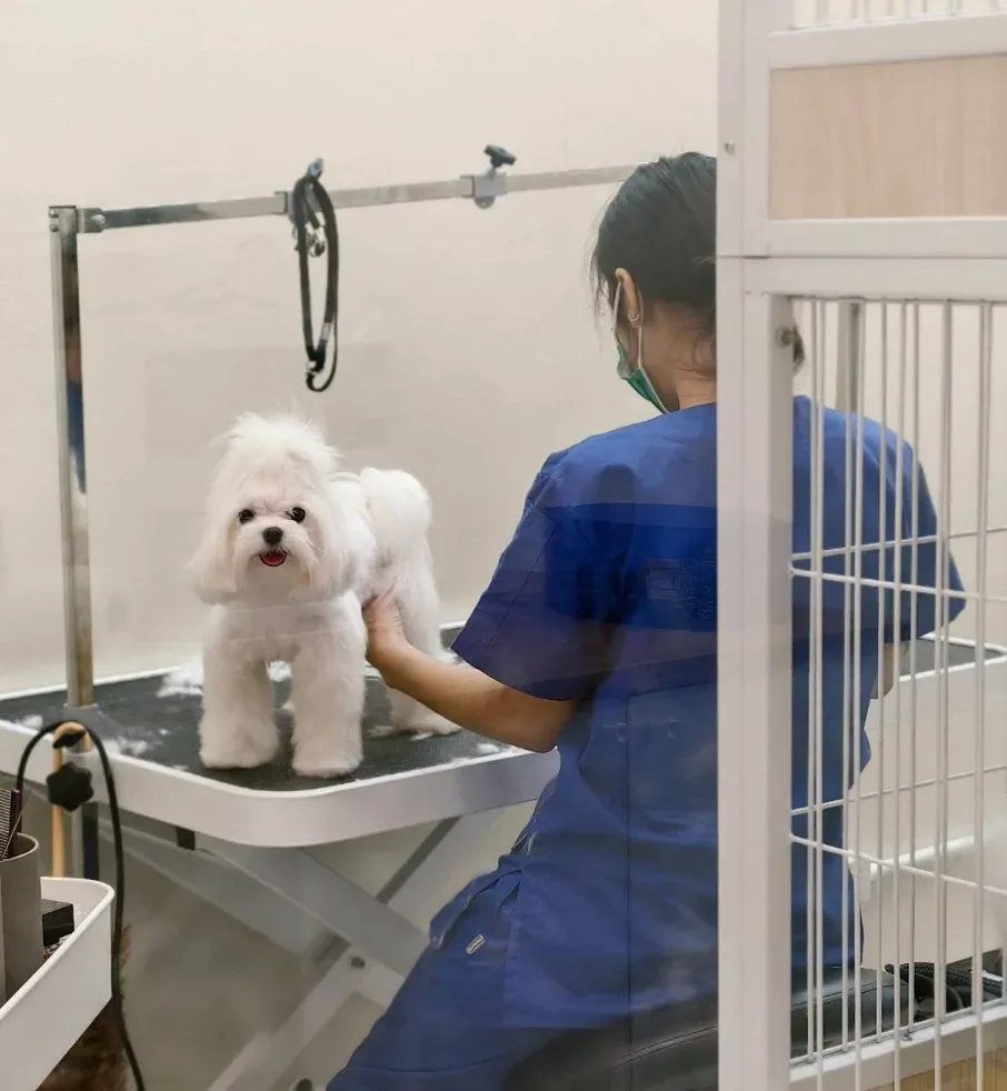เพ็ทเมดพลัส สาขา สะพานเจษฎา(Pet Med Plus Jessada bordin)