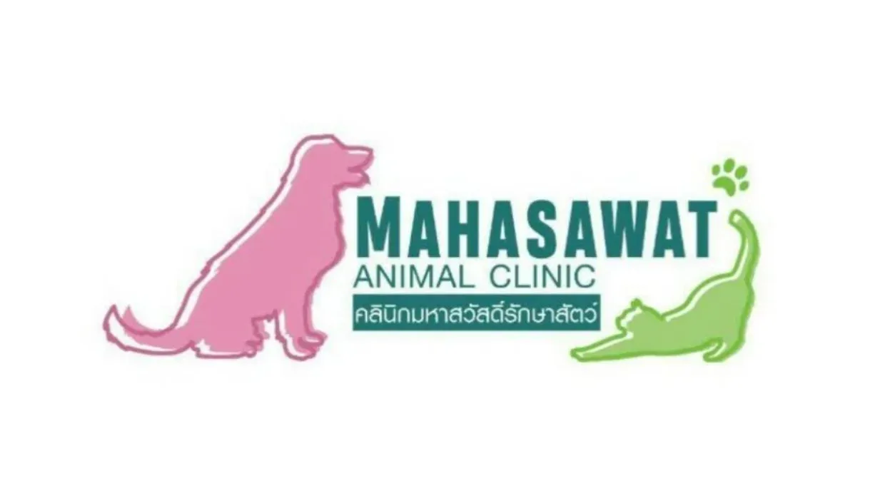 คลินิกมหาสวัสดิ์​รักษาสัตว์​ คลินิก-โรงพยาบาลสัตว์ นนทบุรี 4