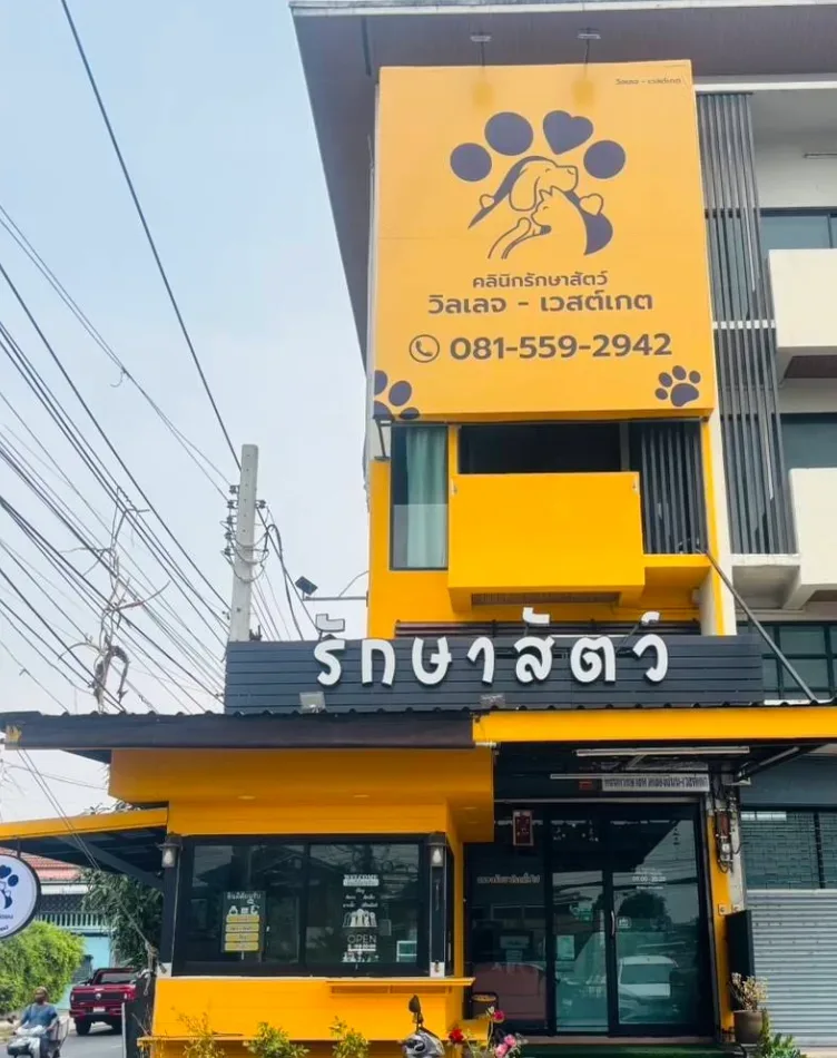 รักษาสัตว์วิลเลจ-เวสต์เกต Village-Westgate Pet Clinic คลินิก-โรงพยาบาลสัตว์ นนทบุรี
