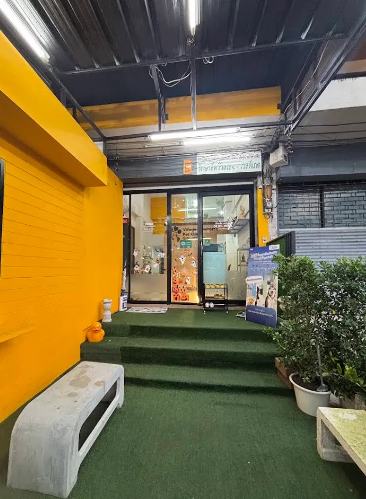 รักษาสัตว์วิลเลจ-เวสต์เกต Village-Westgate Pet Clinic คลินิก-โรงพยาบาลสัตว์ นนทบุรี 2