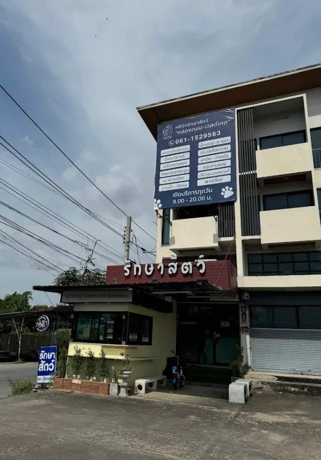 รักษาสัตว์วิลเลจ-เวสต์เกต Village-Westgate Pet Clinic คลินิก-โรงพยาบาลสัตว์ นนทบุรี 4