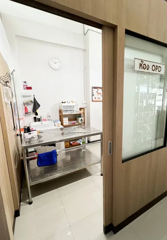 รักษาสัตว์วิลเลจ-เวสต์เกต Village-Westgate Pet Clinic คลินิก-โรงพยาบาลสัตว์ นนทบุรี 5