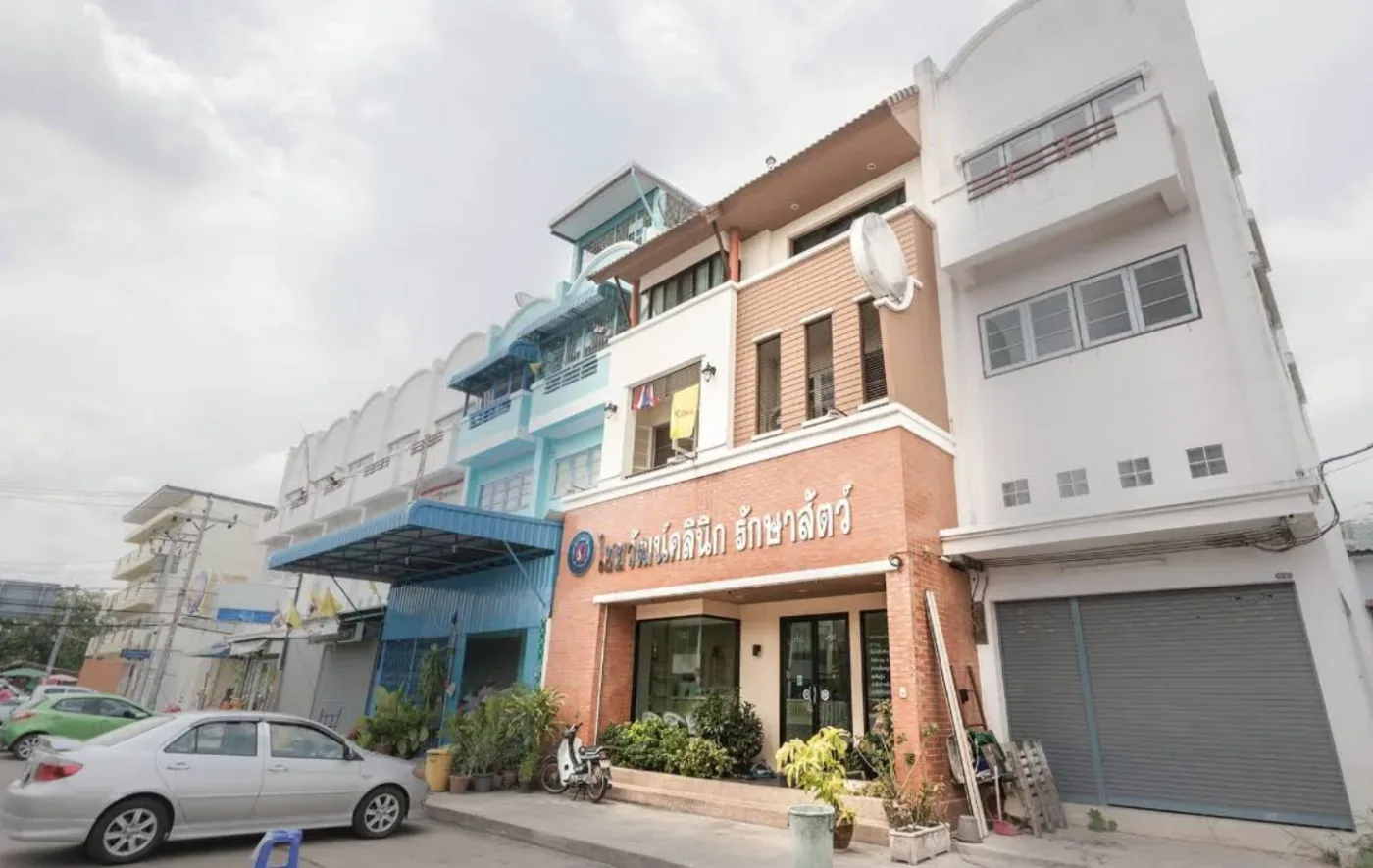 ไชยวัฒน์คลินิก รักษาสัตว์ คลินิก-โรงพยาบาลสัตว์ นนทบุรี