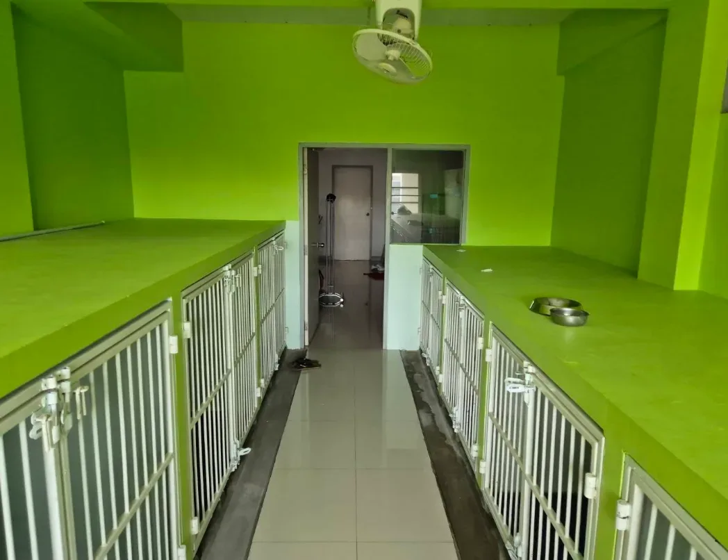 ไชยวัฒน์คลินิก รักษาสัตว์ คลินิก-โรงพยาบาลสัตว์ นนทบุรี 6