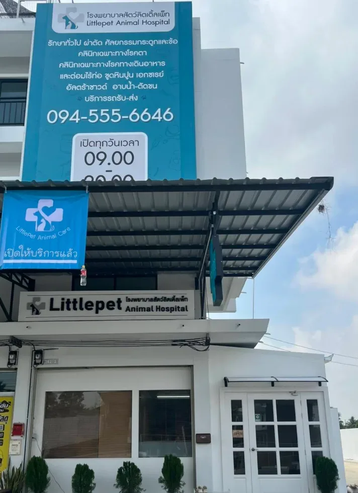 โรงพยาบาลสัตว์ลิตเติ้ลเพ็ท Littlepet Animal Hospital คลินิก-โรงพยาบาลสัตว์ นนทบุรี