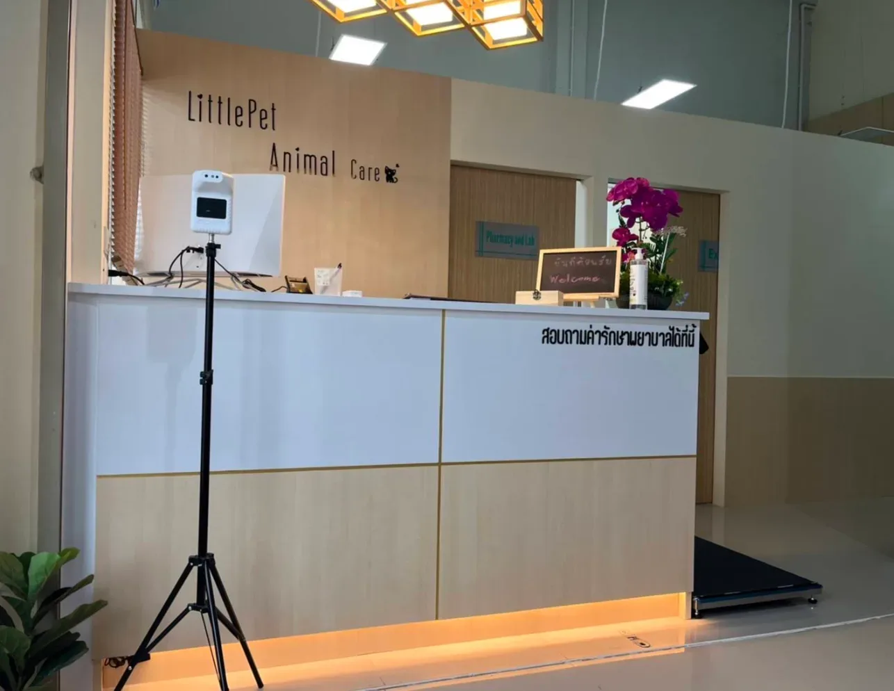 โรงพยาบาลสัตว์ลิตเติ้ลเพ็ท Littlepet Animal Hospital คลินิก-โรงพยาบาลสัตว์ นนทบุรี 2