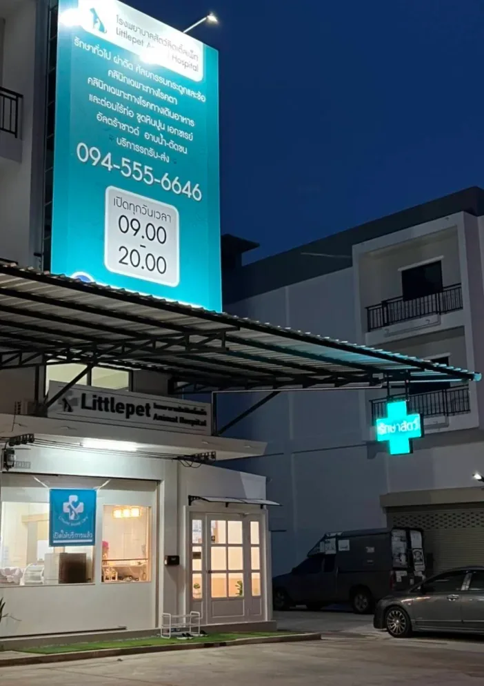 โรงพยาบาลสัตว์ลิตเติ้ลเพ็ท Littlepet Animal Hospital คลินิก-โรงพยาบาลสัตว์ นนทบุรี 5