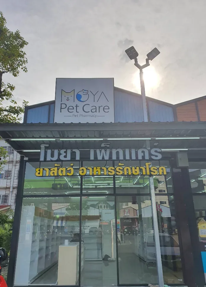 โมยา เพ็ทแคร์ (MOYA Pet Care) สาขา2 บางศรีเมือง คลินิก-โรงพยาบาลสัตว์ นนทบุรี 3