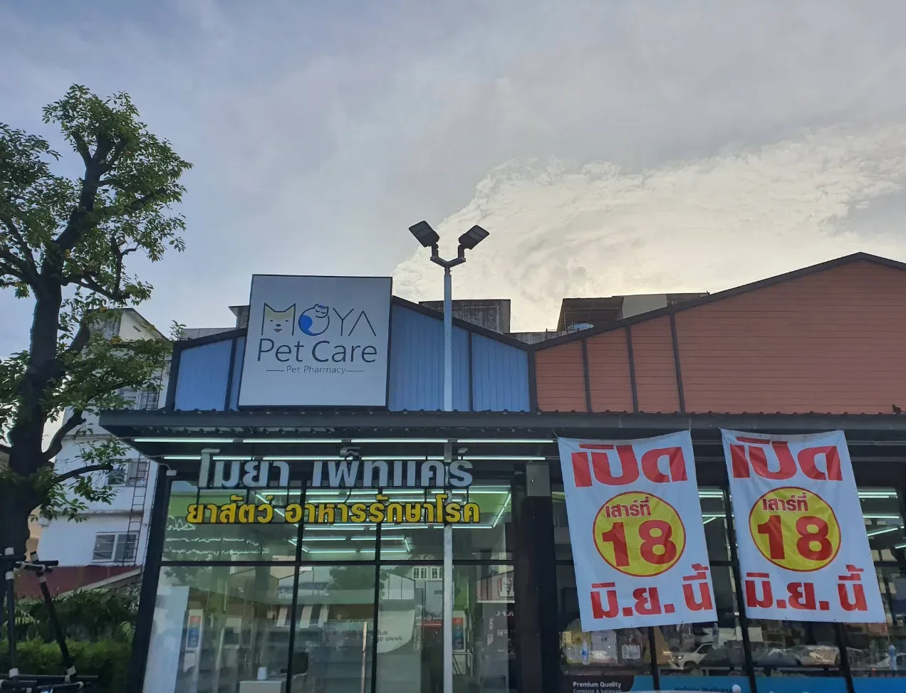 โมยา เพ็ทแคร์ (MOYA Pet Care) สาขา2 บางศรีเมือง คลินิก-โรงพยาบาลสัตว์ นนทบุรี 5