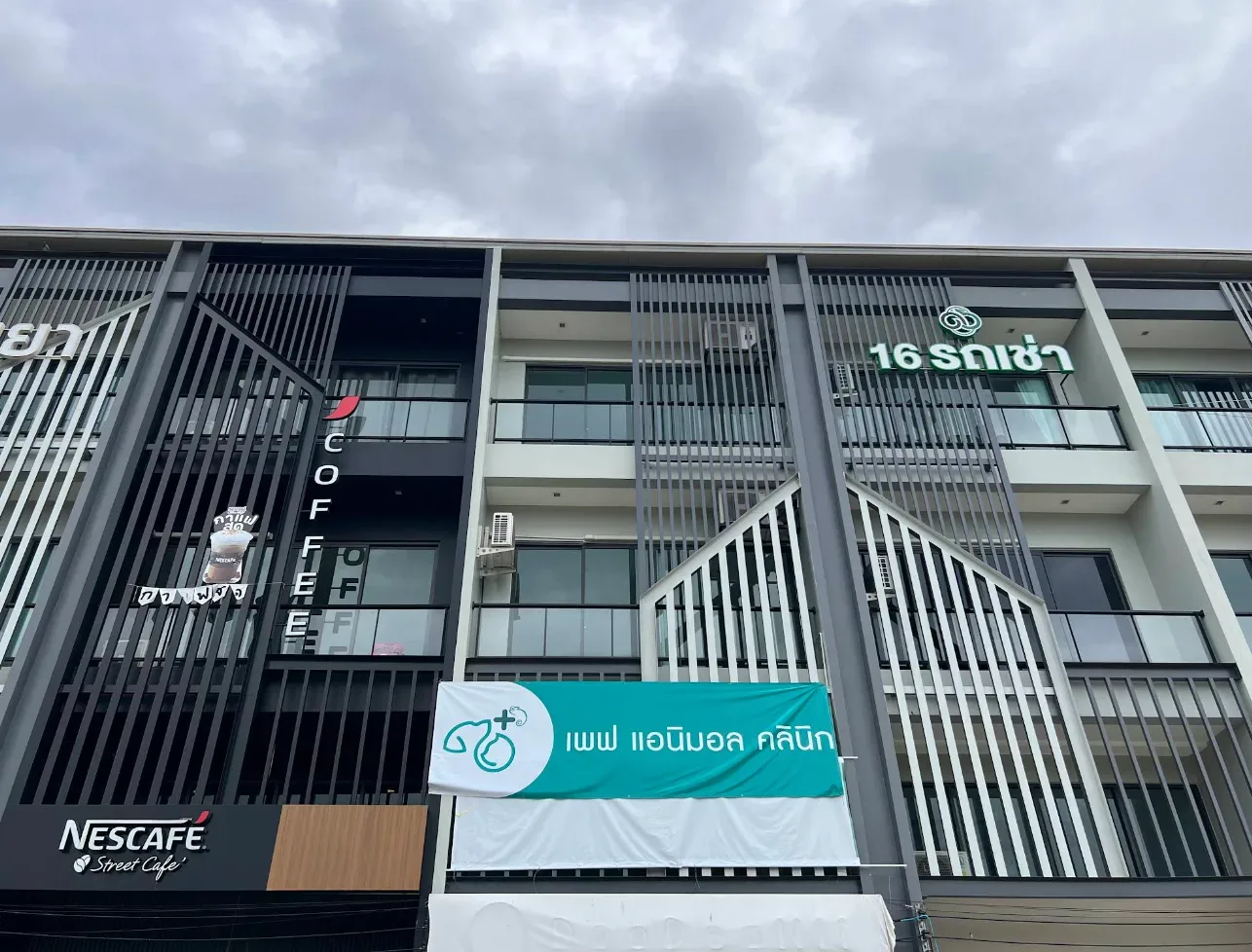 โรงพยาบาลสัตว์ เพฟ แอนิมอล รักษาสัตว์ คลินิก-โรงพยาบาลสัตว์ นนทบุรี