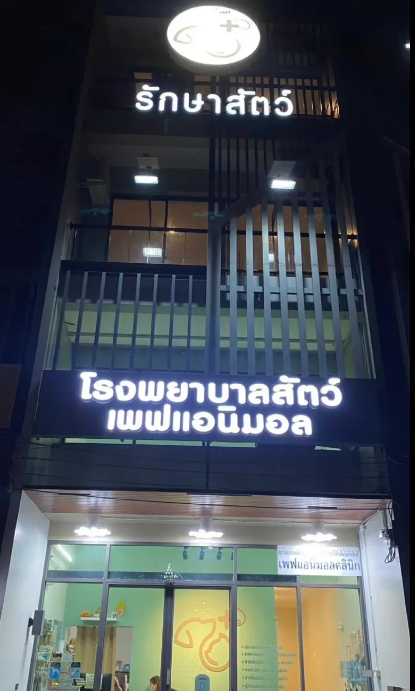 โรงพยาบาลสัตว์ เพฟ แอนิมอล รักษาสัตว์ คลินิก-โรงพยาบาลสัตว์ นนทบุรี 4