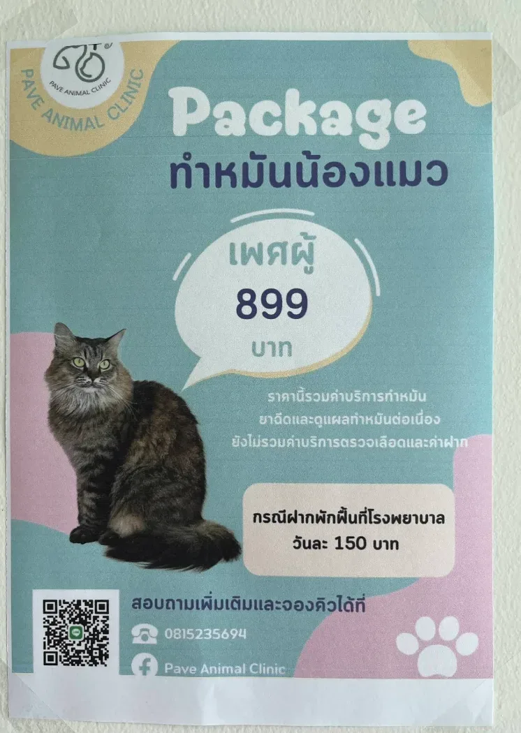 โรงพยาบาลสัตว์ เพฟ แอนิมอล รักษาสัตว์ คลินิก-โรงพยาบาลสัตว์ นนทบุรี 6