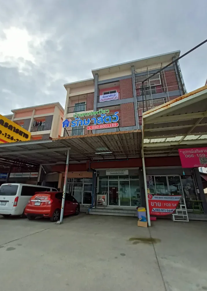 บ้านหมอเหมียวรักษาสัตว์ คลินิก-โรงพยาบาลสัตว์ นนทบุรี