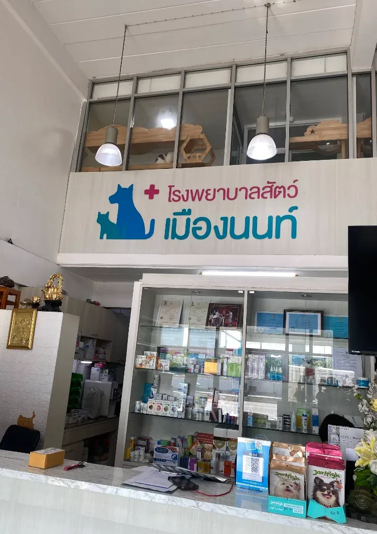 โรงพยาบาลสัตว์ LPD เมืองนนท์ คลินิก-โรงพยาบาลสัตว์ นนทบุรี 2