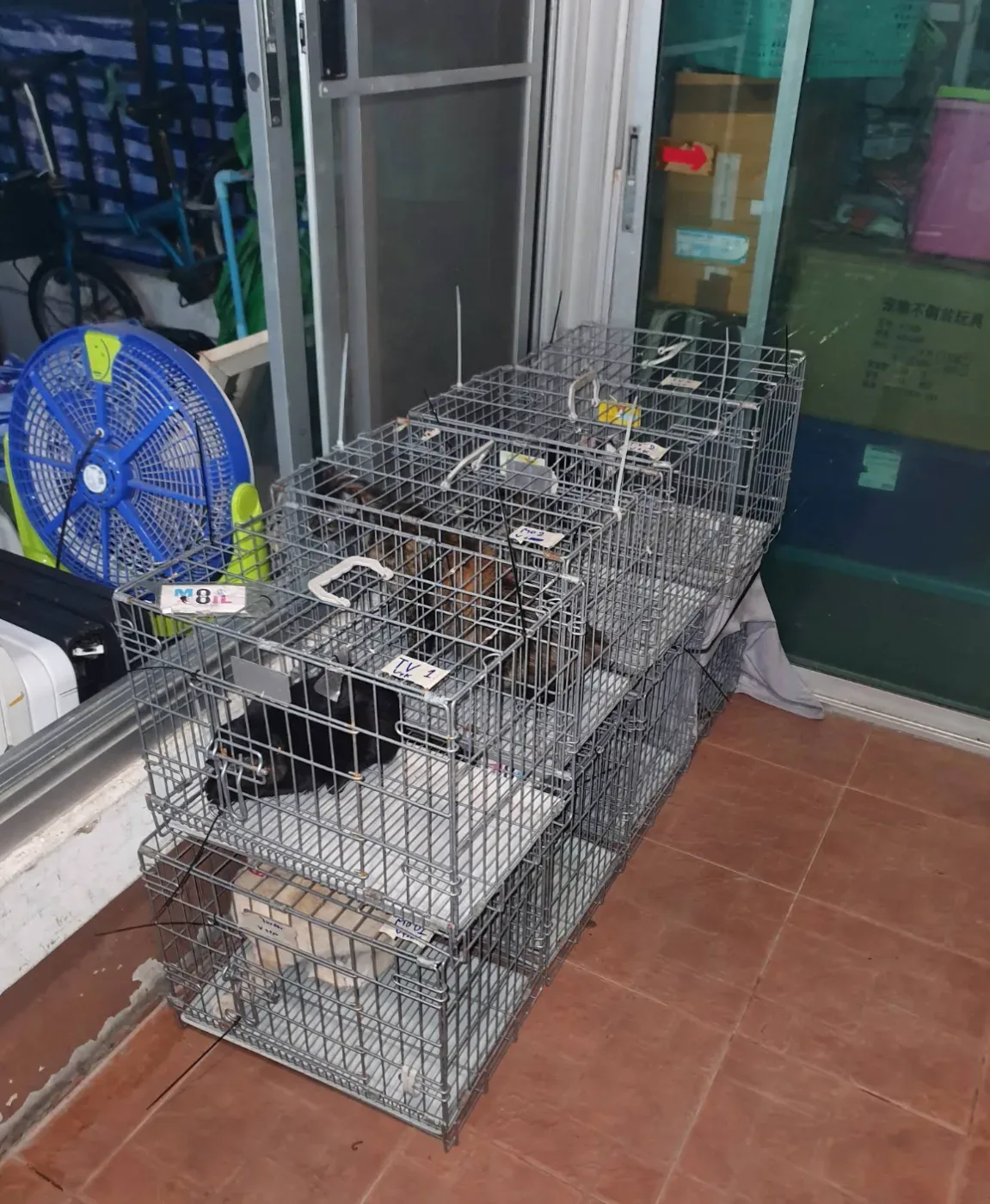 พฤกษาวิลล์ ซ.4 รักษาสัตว์ คลินิก-โรงพยาบาลสัตว์ นนทบุรี 2