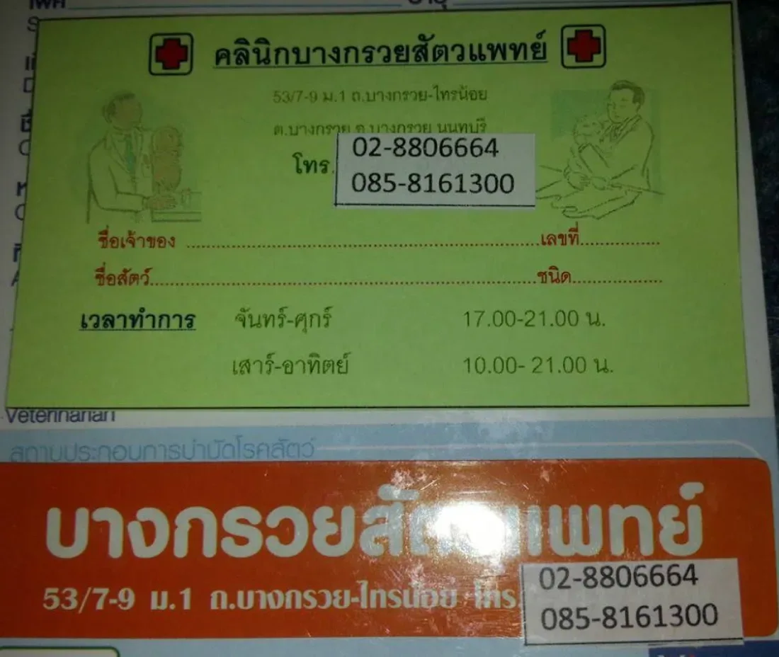 บางกรวยสัตวแพทย์ คลินิก-โรงพยาบาลสัตว์ นนทบุรี 4