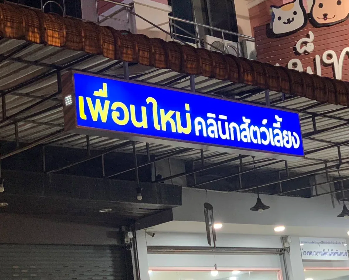 เพื่อนใหม่ คลินิกสัตว์เลี้ยง คลินิก-โรงพยาบาลสัตว์ นนทบุรี 4
