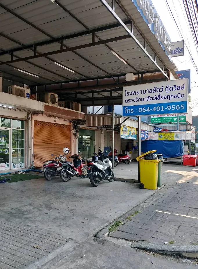 โรงพยาบาลสัตว์กู๊ดวิลล์ ราชพฤกษ์ คลินิก-โรงพยาบาลสัตว์ นนทบุรี 2
