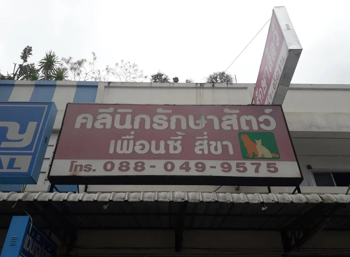 คลินิกรักษาสัตว์ เพื่อนซี้ สี่ขา