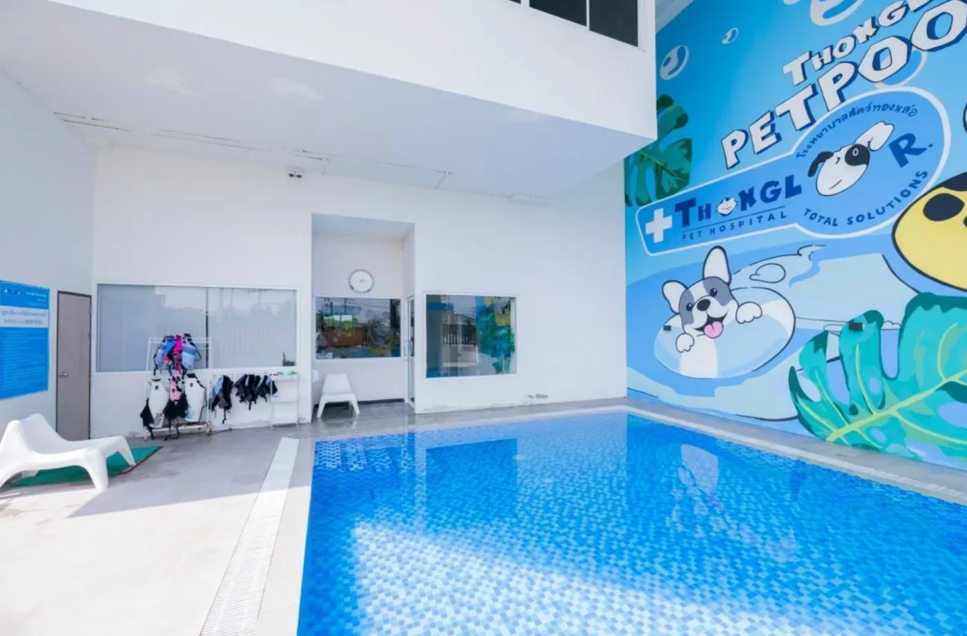 Thonglor Pet Hospital Rama 5 โรงพยาบาลสัตว์ ทองหล่อ พระราม 5 คลินิก-โรงพยาบาลสัตว์ นนทบุรี 5