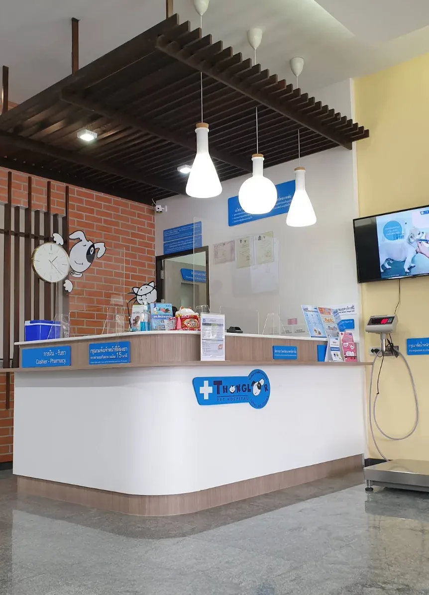 Thonglor Pet Hospital Rama 5 โรงพยาบาลสัตว์ ทองหล่อ พระราม 5 คลินิก-โรงพยาบาลสัตว์ นนทบุรี 6