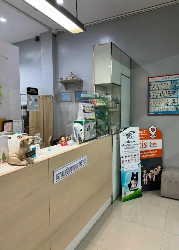 โรงพยาบาลสัตว์บำรุงรักษ์ คลินิก-โรงพยาบาลสัตว์ นนทบุรี 4