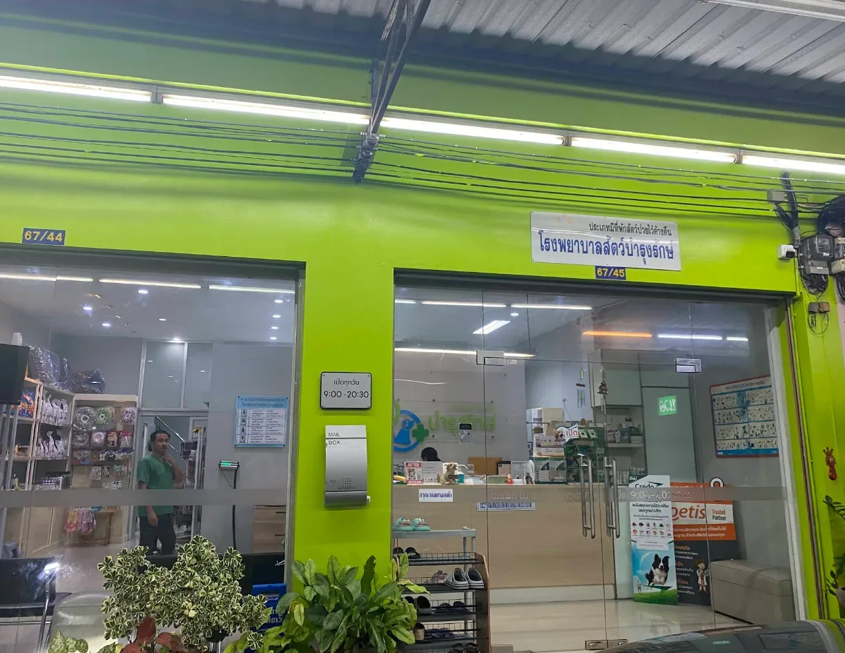 โรงพยาบาลสัตว์บำรุงรักษ์ คลินิก-โรงพยาบาลสัตว์ นนทบุรี 5