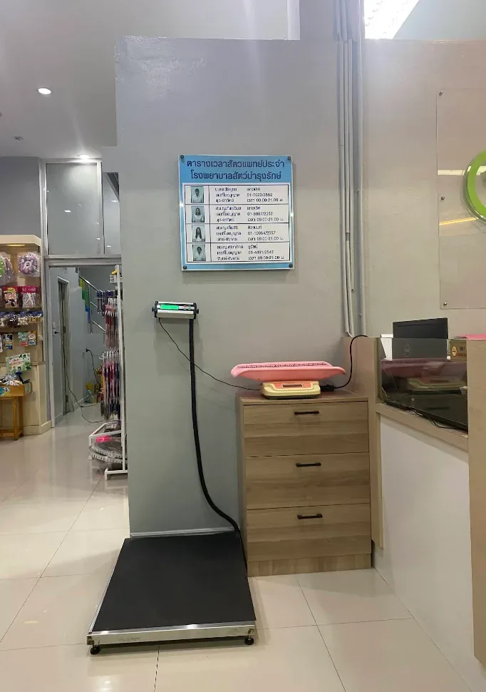 โรงพยาบาลสัตว์บำรุงรักษ์ คลินิก-โรงพยาบาลสัตว์ นนทบุรี 6