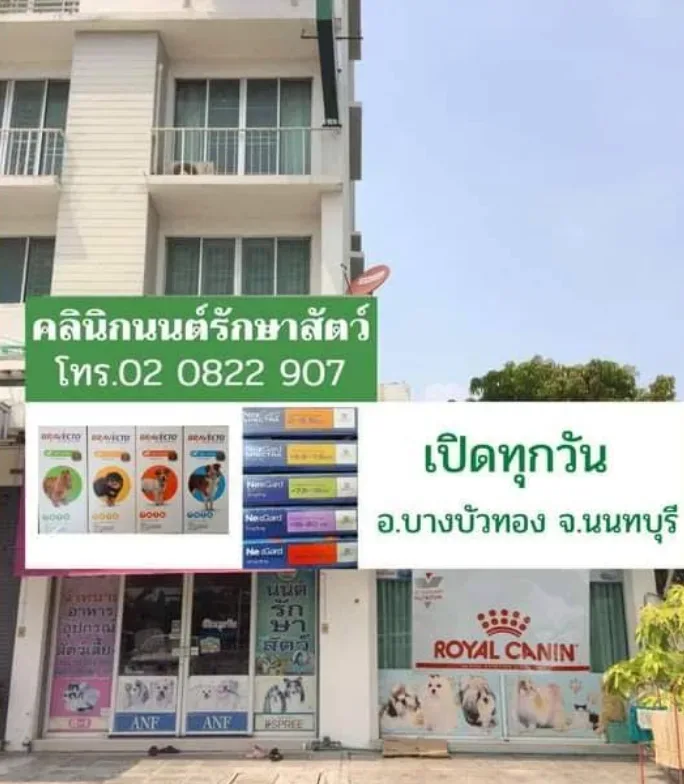 คลินิกนนต์ รักษาสัตว์ บางบัวทอง