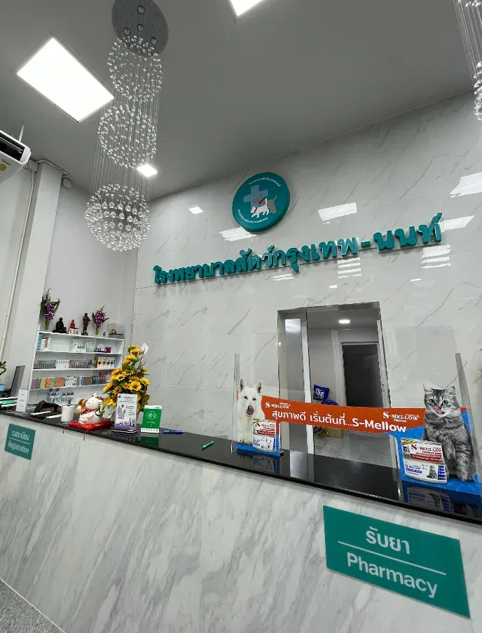 โรงพยาบาลสัตว์กรุงเทพ-นนท์ สาขาปลายบาง คลินิก-โรงพยาบาลสัตว์ นนทบุรี 2