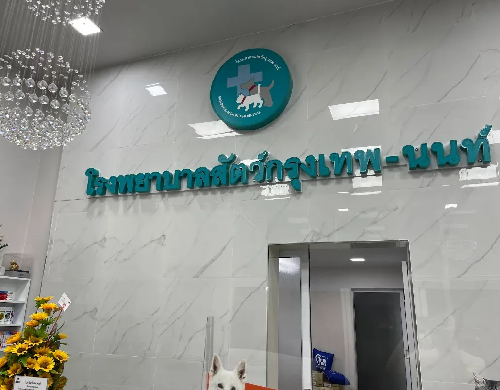 โรงพยาบาลสัตว์กรุงเทพ-นนท์ สาขาปลายบาง คลินิก-โรงพยาบาลสัตว์ นนทบุรี 3