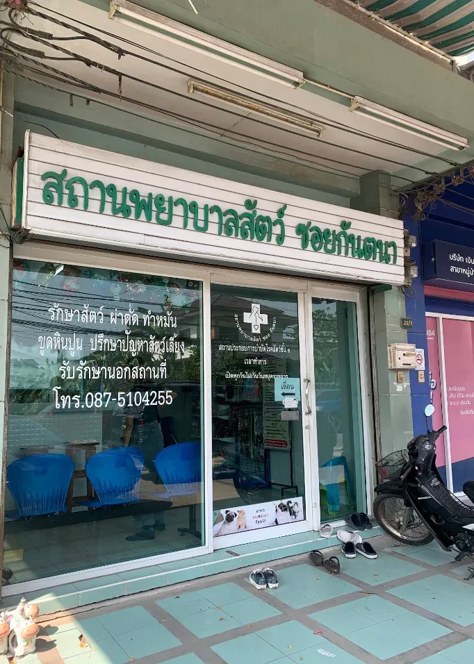 สถานพยาบาลสัตว์ซอยกันตนา