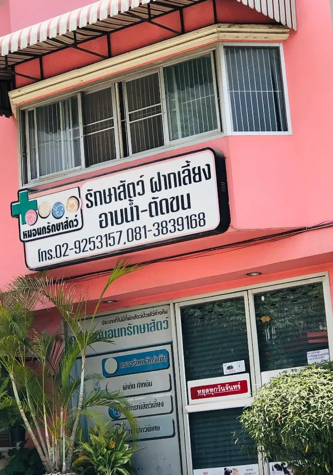 คลีนิคหมอนกรักษาสัตว์ คลินิก-โรงพยาบาลสัตว์ นนทบุรี