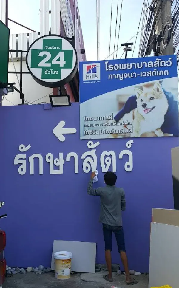 โรงพยาบาลสัตว์บางใหญ่ คลินิก-โรงพยาบาลสัตว์ นนทบุรี 2