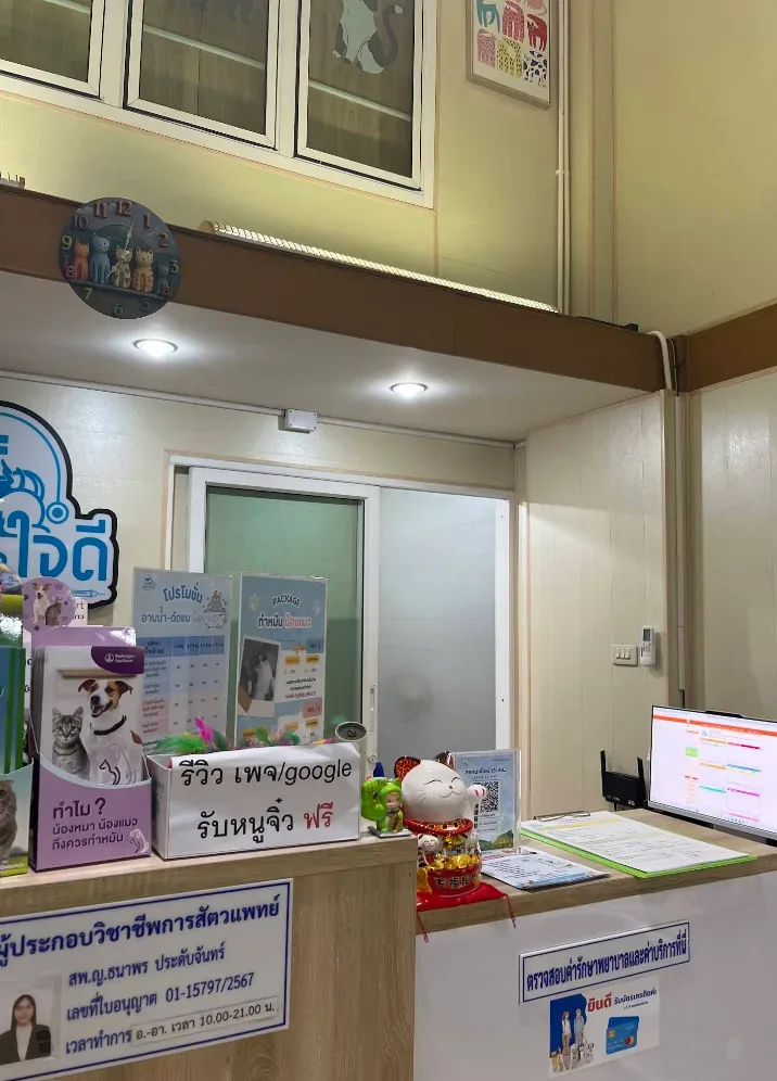 คลินิกใจดีรักษาสัตว์ คลินิก-โรงพยาบาลสัตว์ นนทบุรี 4