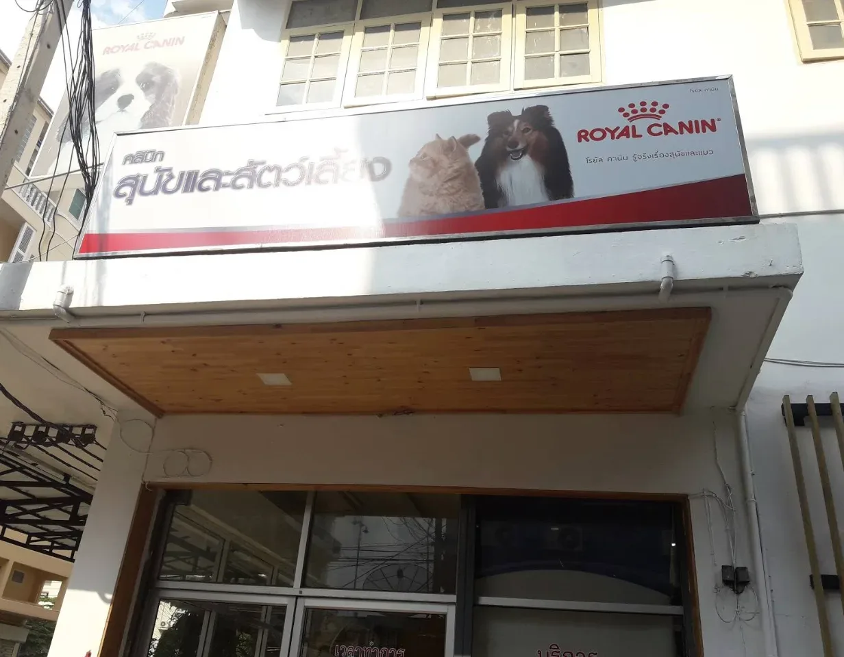 คลินิกสุนัขและสัตว์เลี้ยง คลินิก-โรงพยาบาลสัตว์ นนทบุรี 2