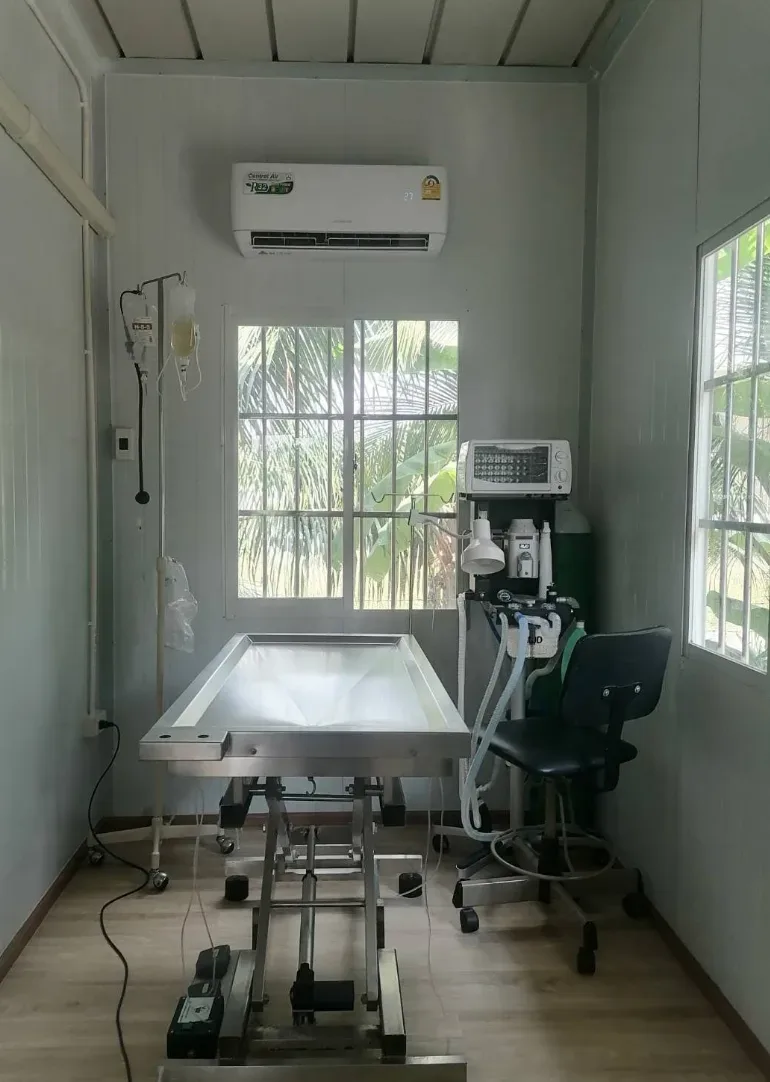 มาจิสัตวแพทย์ คลินิก-โรงพยาบาลสัตว์ นนทบุรี 5