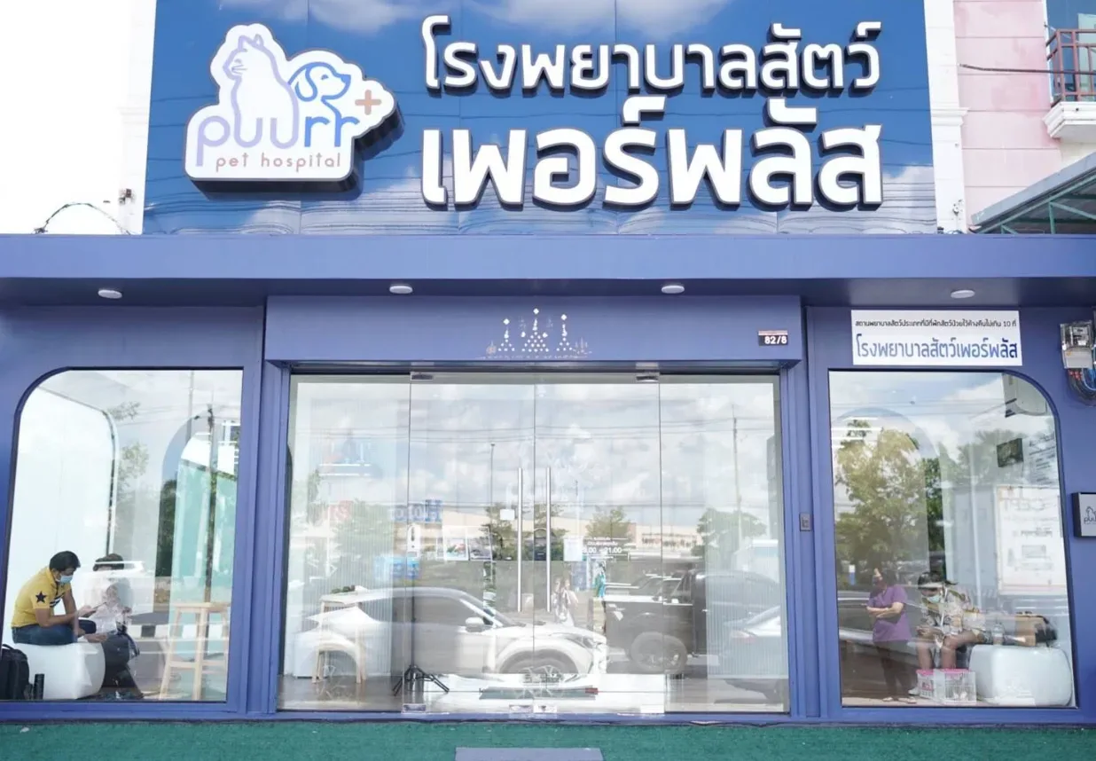 โรงพยาบาลสัตว์เพอร์พลัส | สาขาราชพฤกษ์ | PUURR+ pet hospital คลินิก-โรงพยาบาลสัตว์ นนทบุรี 5