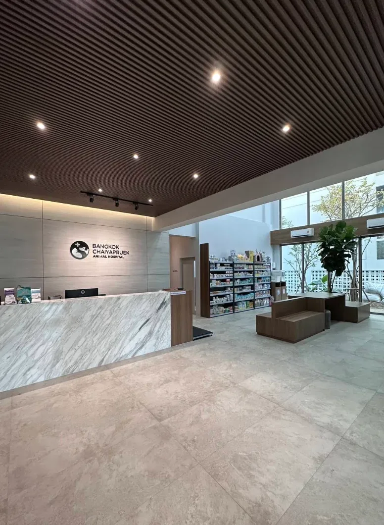 โรงพยาบาลสัตว์ฮาโตะ สาขาชัยพฤกษ์ Hato Animal Hospital Chaiyapruek คลินิก-โรงพยาบาลสัตว์ นนทบุรี 6