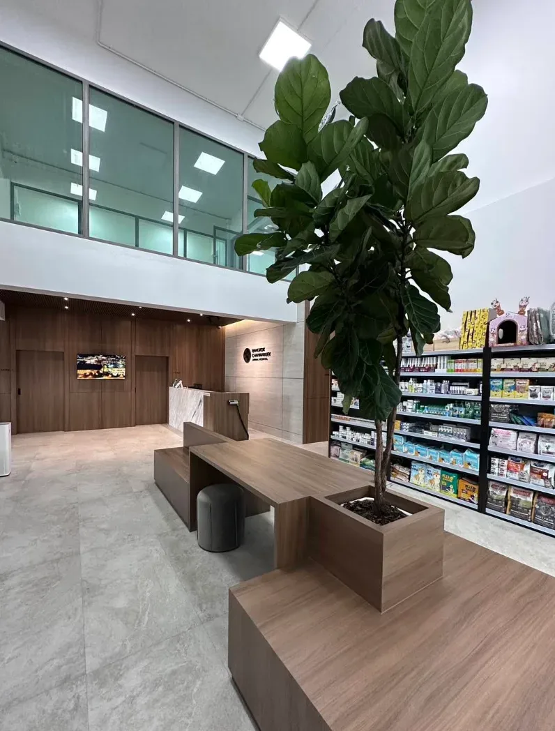 โรงพยาบาลสัตว์ฮาโตะ สาขาชัยพฤกษ์ Hato Animal Hospital Chaiyapruek คลินิก-โรงพยาบาลสัตว์ นนทบุรี 4