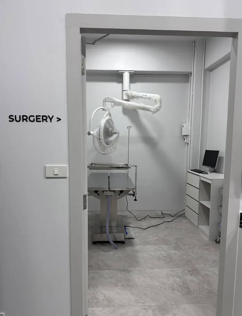 โรงพยาบาลสัตว์ฮาโตะ สาขาชัยพฤกษ์ Hato Animal Hospital Chaiyapruek คลินิก-โรงพยาบาลสัตว์ นนทบุรี 5