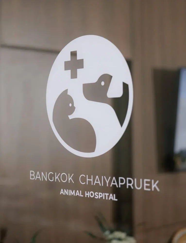 โรงพยาบาลสัตว์ฮาโตะ สาขาชัยพฤกษ์ Hato Animal Hospital Chaiyapruek