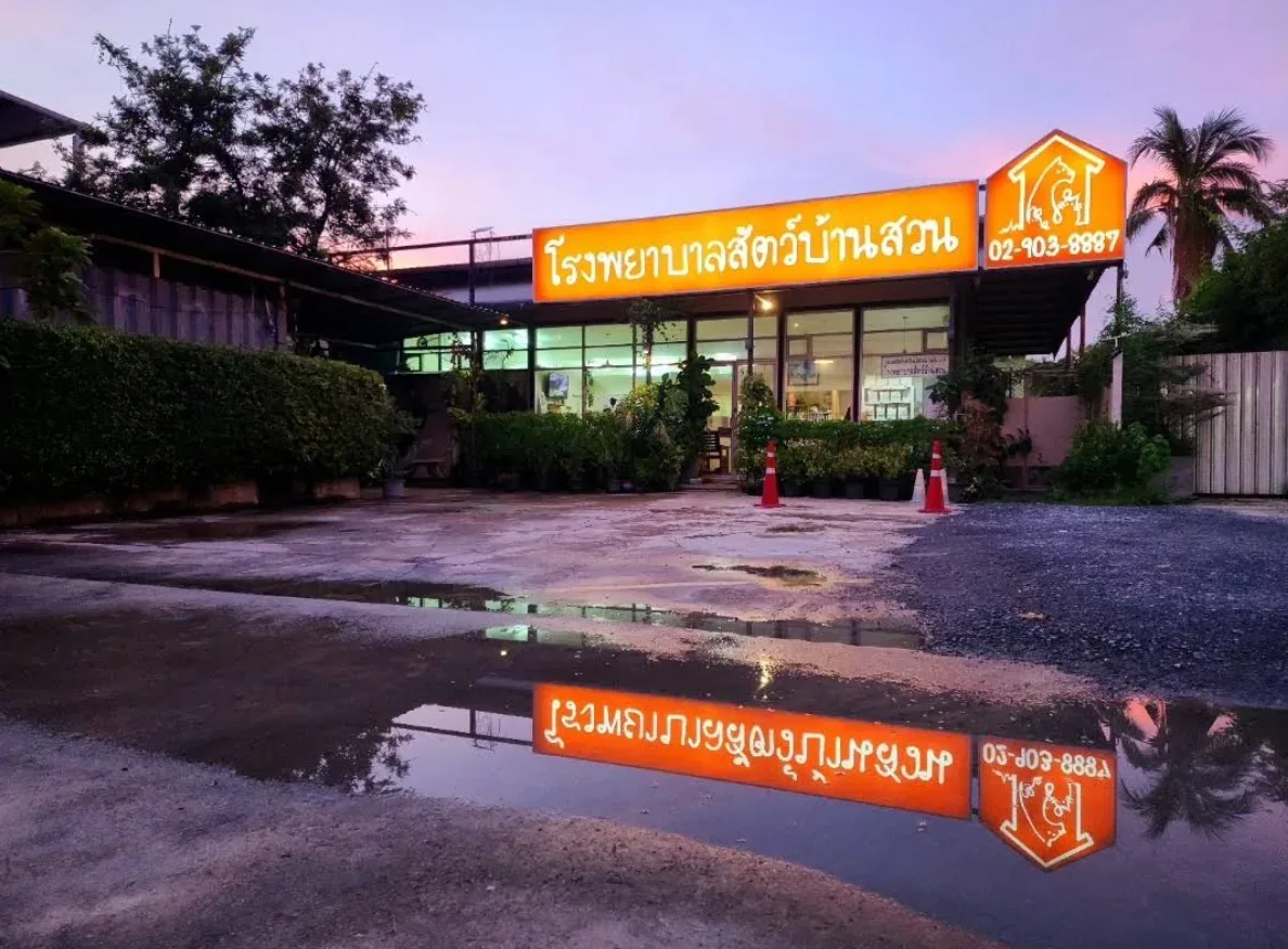 โรงพยาบาลสัตว์บ้านสวน คลินิก-โรงพยาบาลสัตว์ นนทบุรี