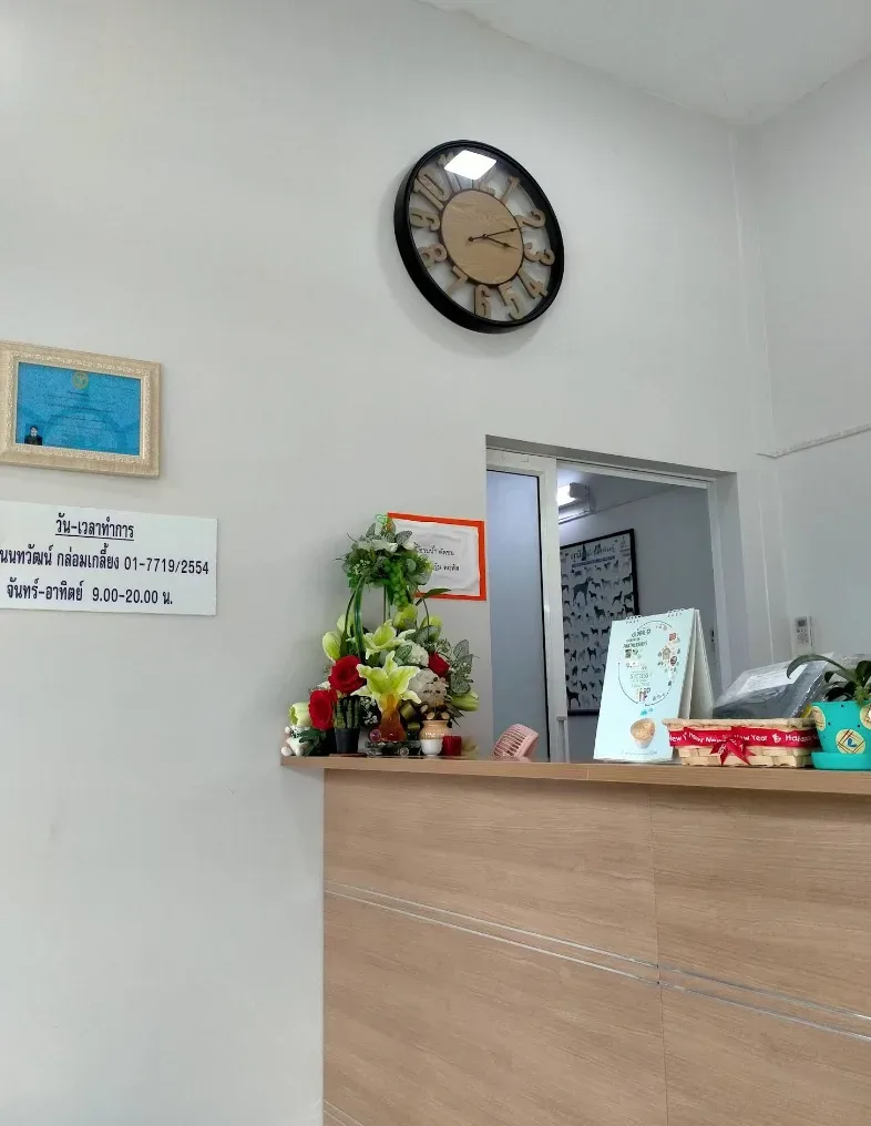 เวสต์เกต สัตวแพทย์ คลินิก-โรงพยาบาลสัตว์ นนทบุรี 6
