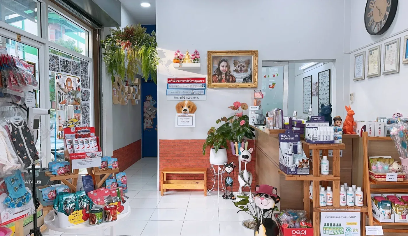เวสต์เกต สัตวแพทย์ คลินิก-โรงพยาบาลสัตว์ นนทบุรี 4